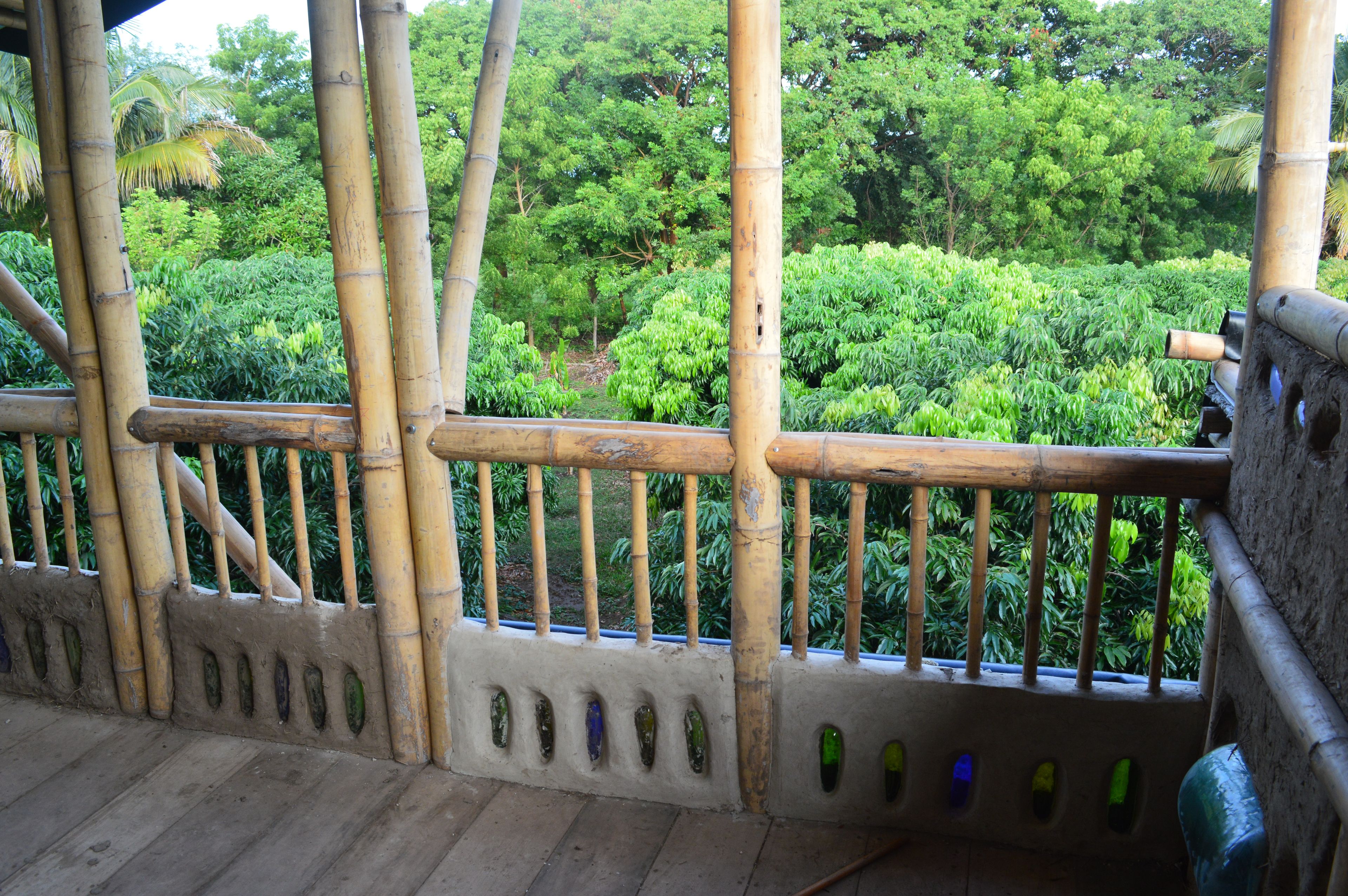 A bamboo railing with a view of dense green foliage.
