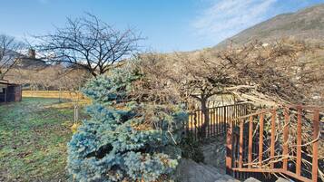 Un jardin clos, agrémenté de divers arbres, dont un conifère bleu particulièrement remarquable.