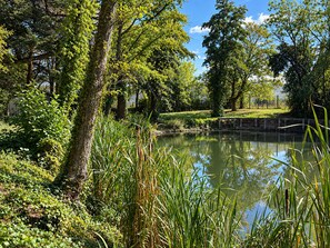 A tranquil pond surrounded by lush greenery and trees. - Domaine du Cèdre (L'Aigle)