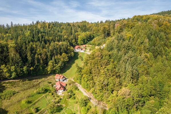 Un paisaje rural con una casa rodeada de un bosque denso.