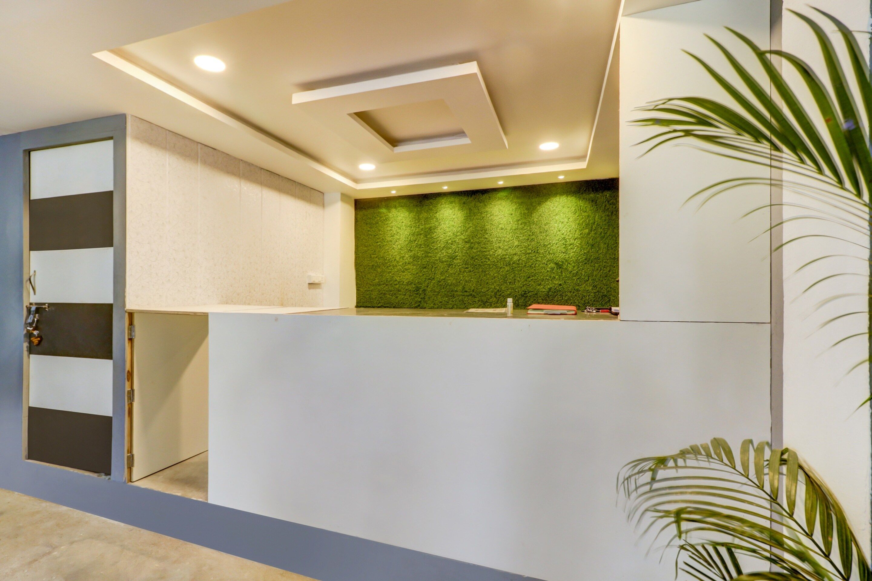 A reception desk with a green wall and a plant beside it.