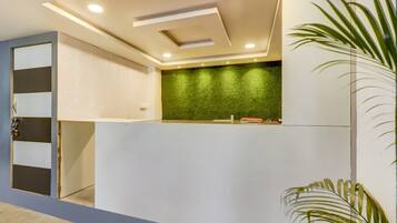 A reception desk with a green wall and a plant beside it.