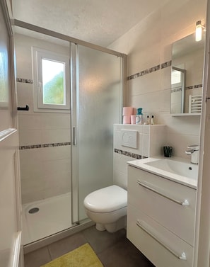 Ein Badezimmer mit Duschkabine, Toilette und Waschbecken inklusive Spiegel.