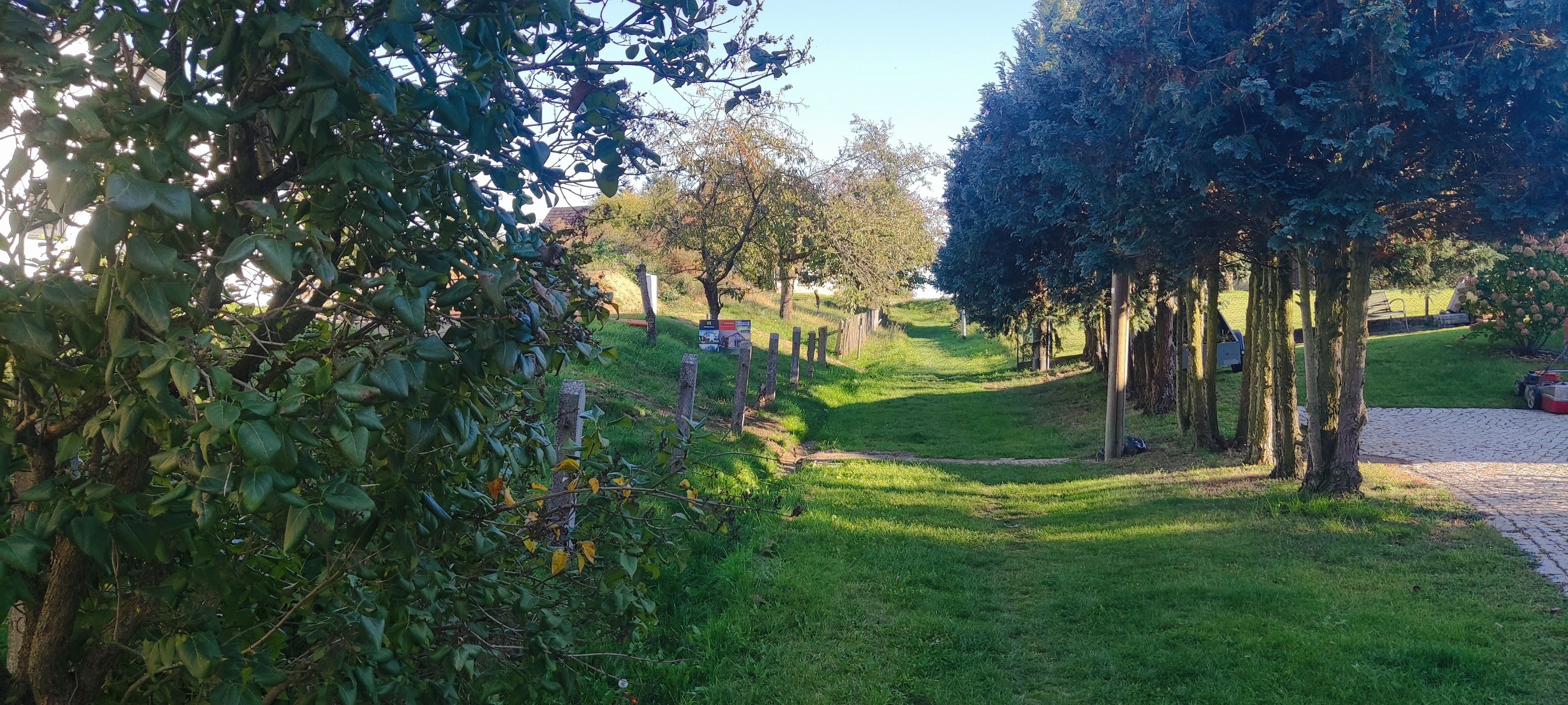 A pathway lined with trees and a grassy area.