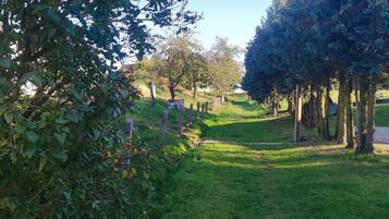 A pathway lined with trees and a grassy area.