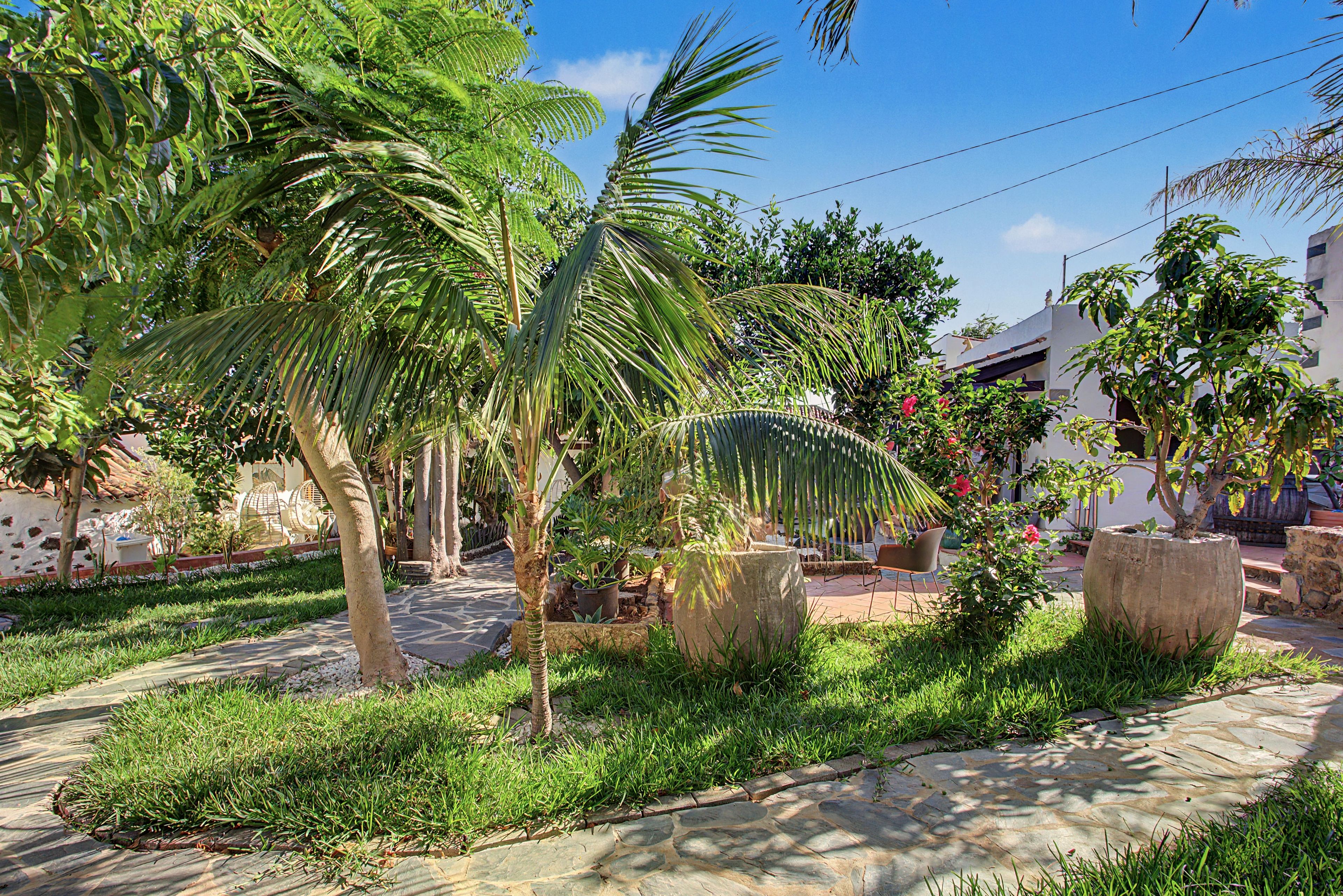 Un jardín con palmeras, un sendero de piedra y un edificio al fondo.