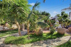 Un jardín con palmeras, un sendero de piedra y un edificio al fondo.