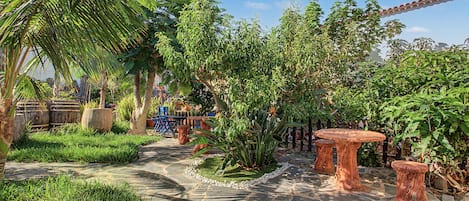 Un jardín con un sendero de piedra, palmeras y una mesa de madera.