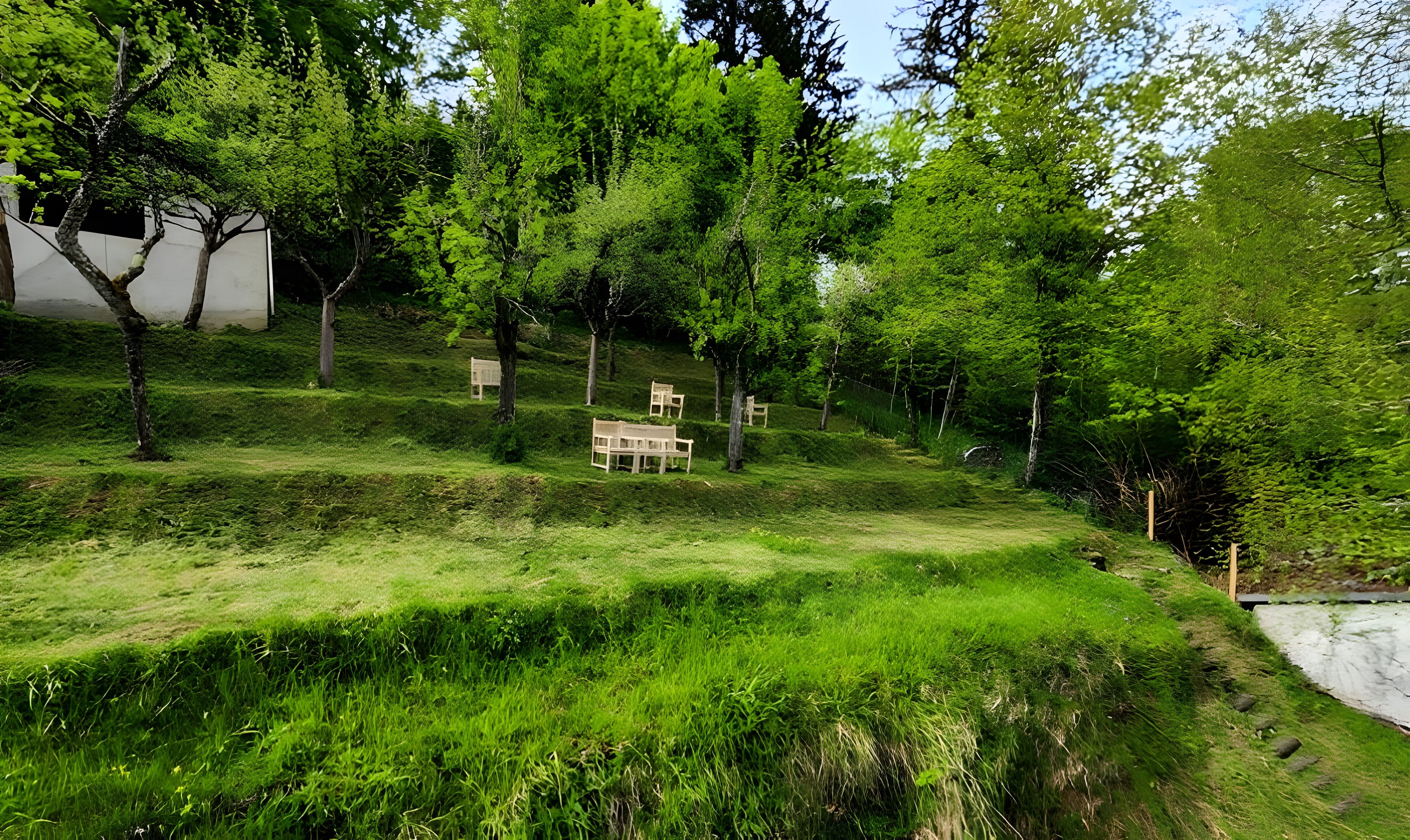 Un espace verdoyant avec des bancs et des arbres.