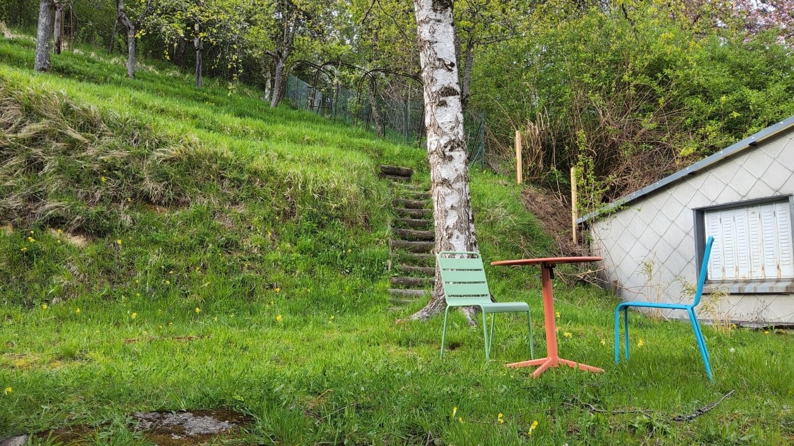 Een gazon met een berk, een groene stoel en een rode tafel.