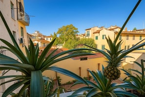 A residential area with buildings, a pineapple plant, and a clear sky. - Bobotel  (Florence)