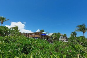 A building with a covered outdoor area, surrounded by lush greenery and palm trees. - 2BR Beachfront Condo Playa Pool & Beach (Playa del Carmen)