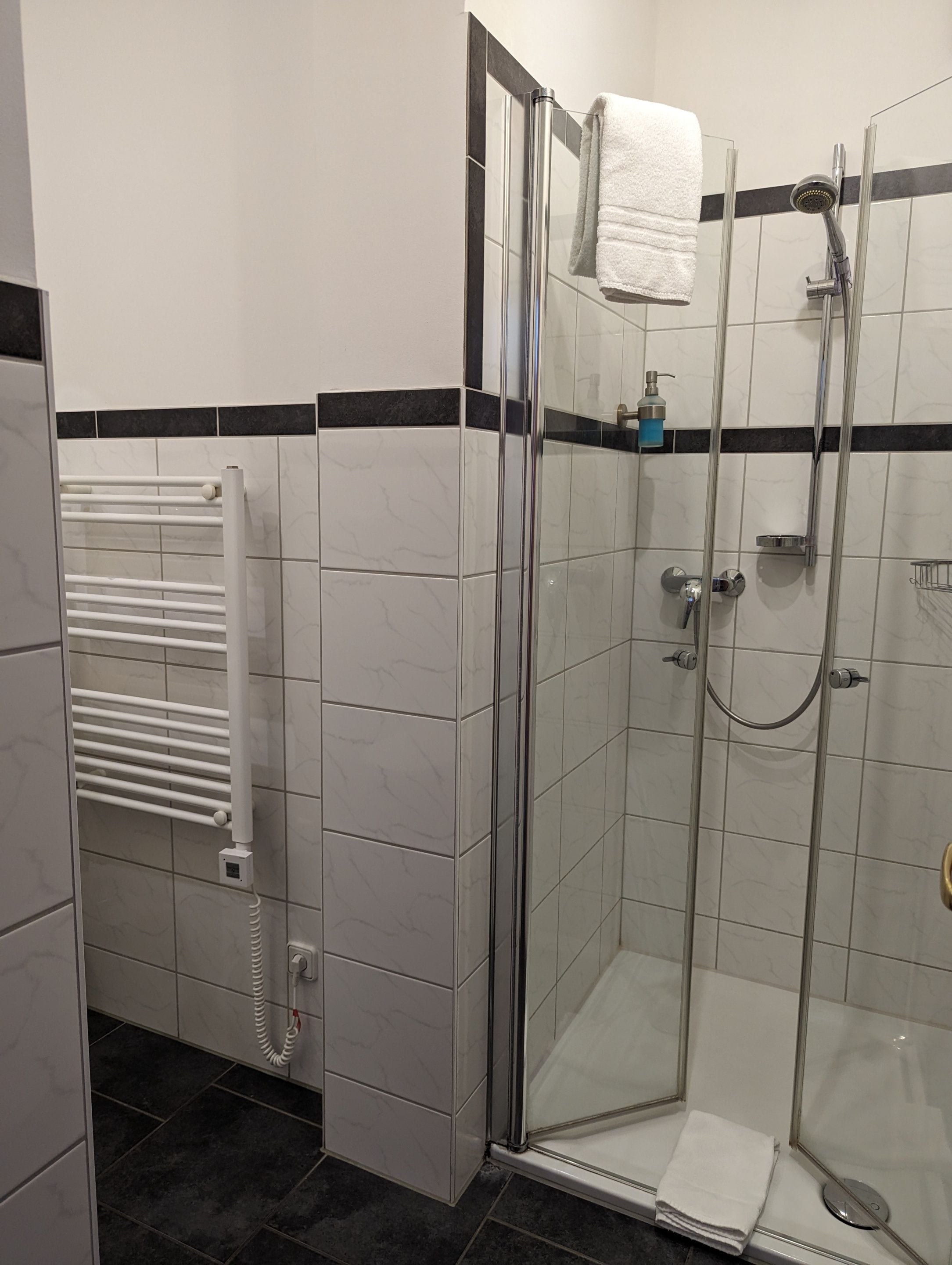 En brusekabine med glasvægge, en håndbruser, et håndklædetørrestativ og et kontrolpanel.