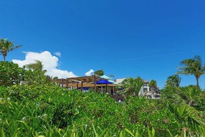 A resort with a pool area, covered seating, and palm trees. - Beachfront Studio Resort Pool & Beach Access (Playa del Carmen)