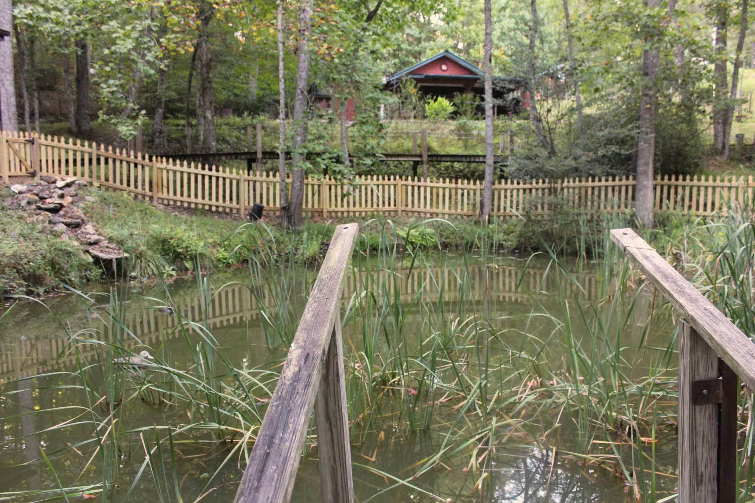 Un pont en bois enjambant un étang, avec une clôture en bois et une maison en arrière-plan.