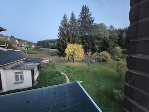 Ein Wohngebiet mit Häusern, einem Rasen und einem großen Baum mit gelben Blättern.
