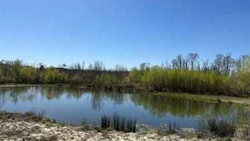 A natural landscape with a body of water, trees, and a clear sky.