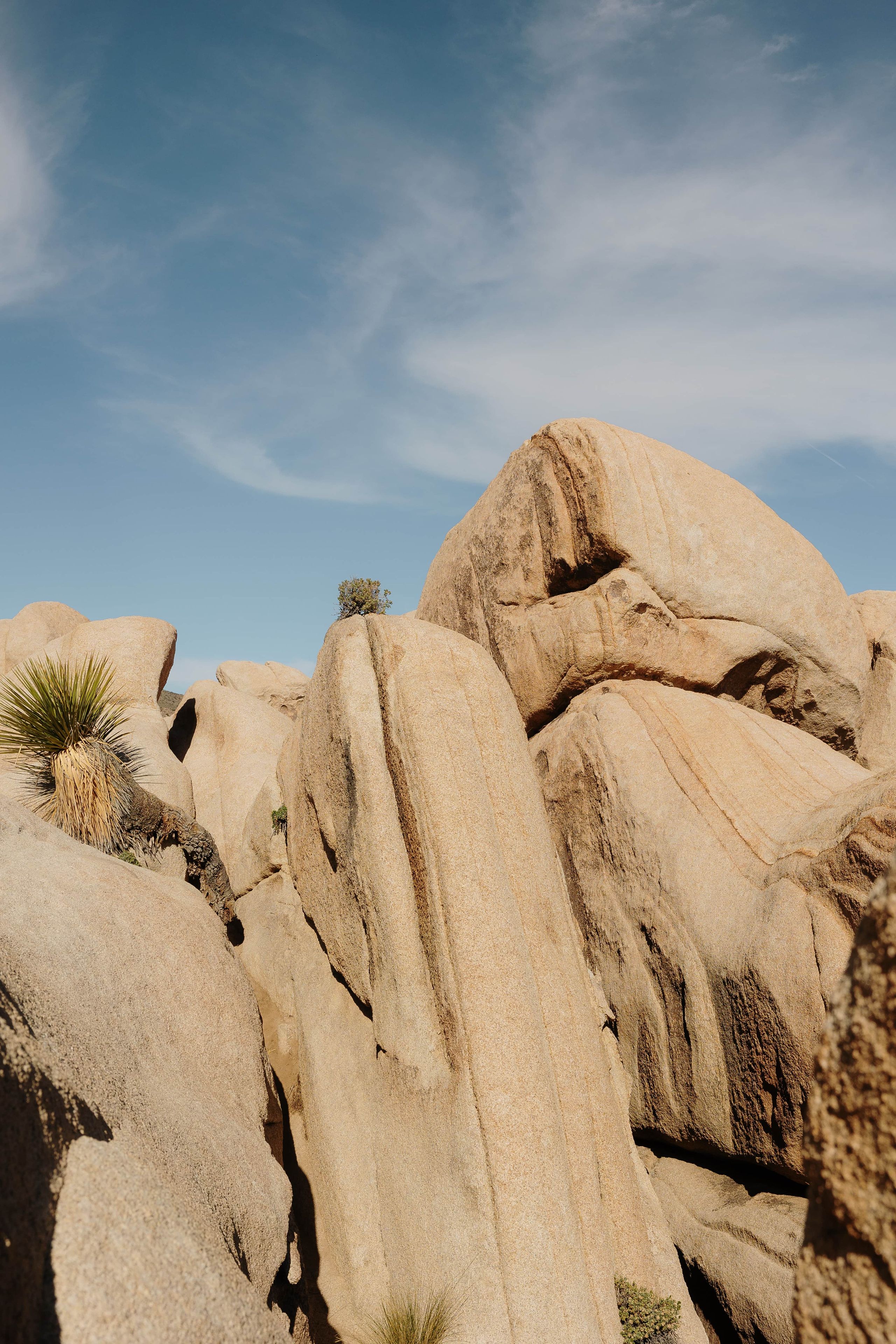 A desert landscape with large rock formations and sparse vegetation.