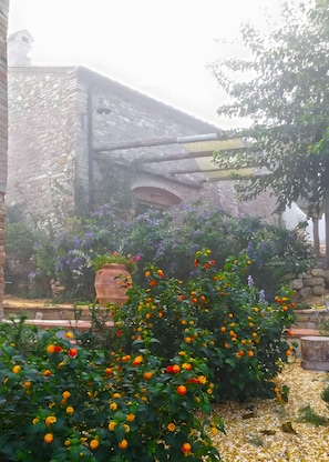 Exterior detail - Apartment 'Forno - Agriturismo Le Canterie' with Shared Pool, Private Garden and Wi-Fi (Radicondoli)