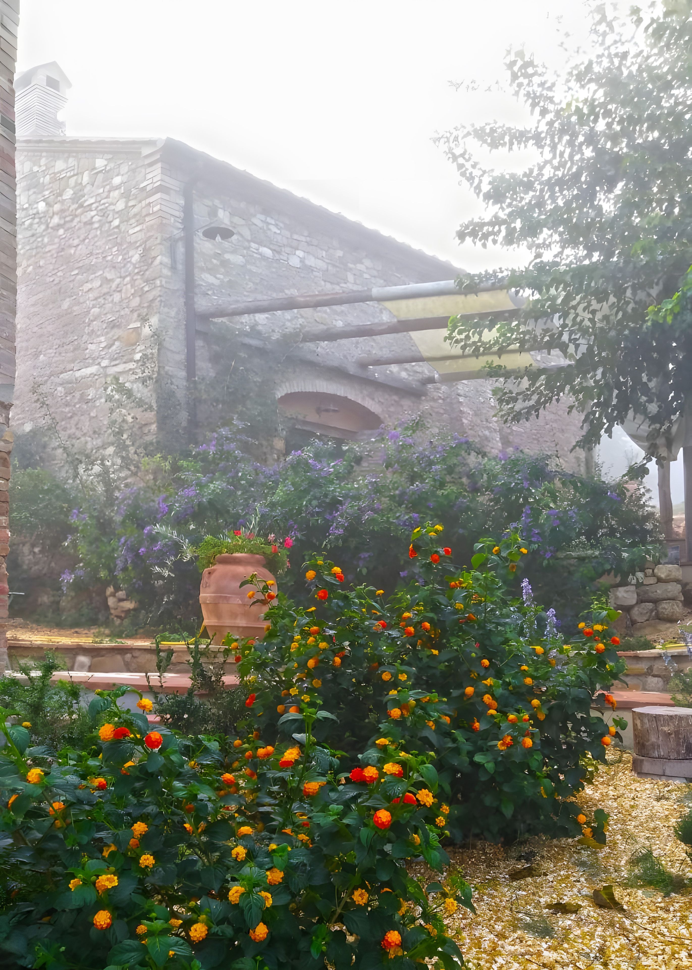 Un giardino con un muro in pietra, piante fiorite e un vaso di terracotta grande.