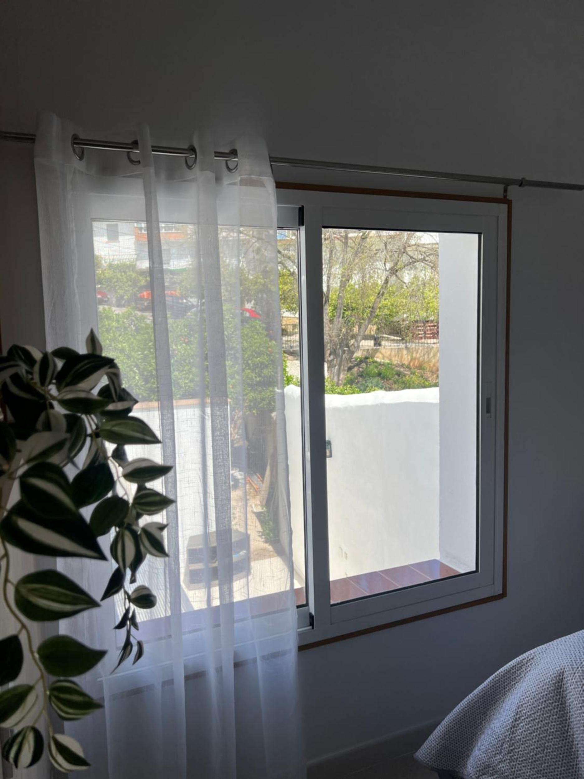 Una habitación con puerta corredera de vidrio que da a un área exterior, una planta en maceta y una cortina blanca.