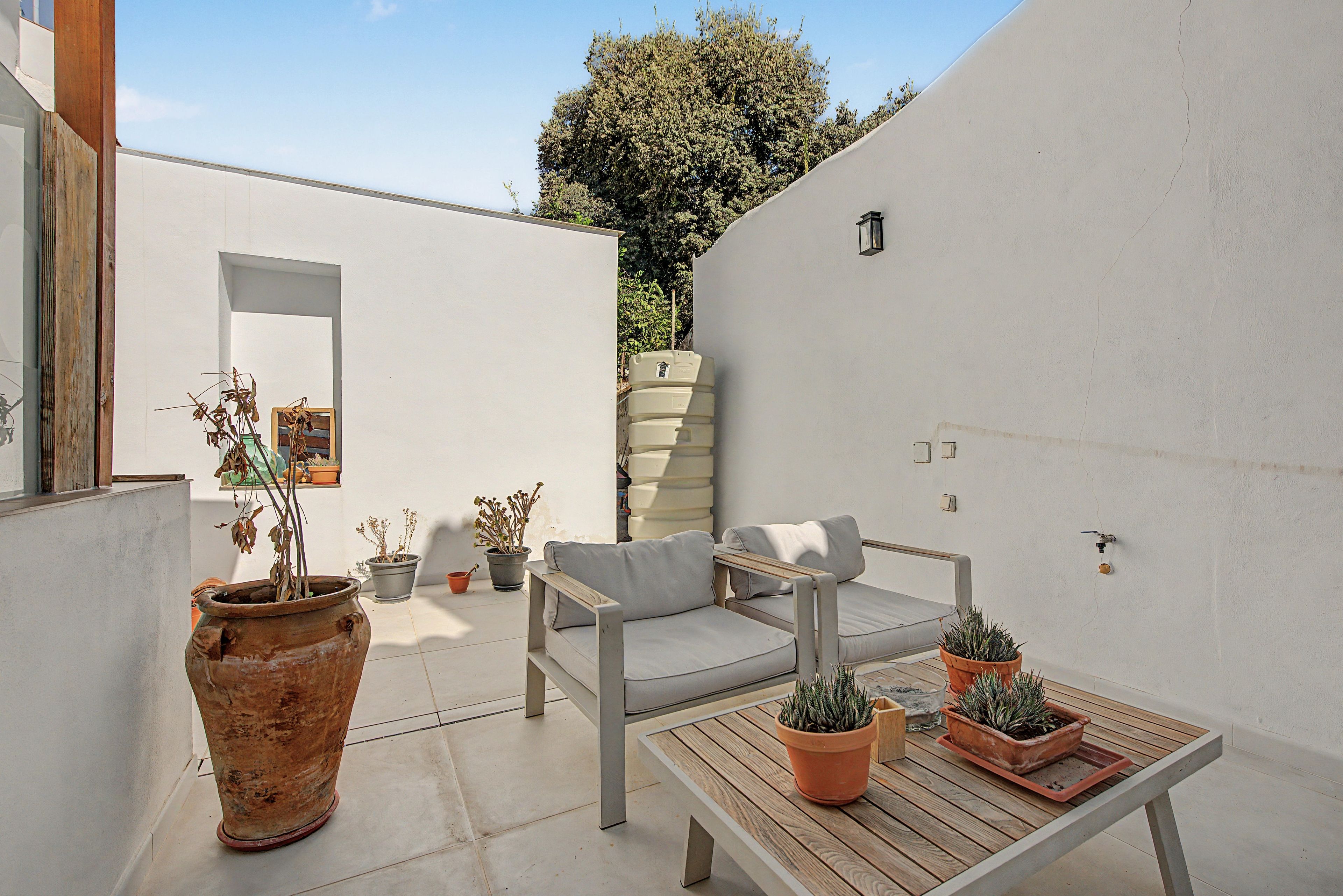 A minimalist outdoor seating area with a sofa and table, surrounded by potted plants and a large tree.