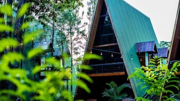Un edificio moderno con techo inclinado, rodeado de exuberante vegetación.