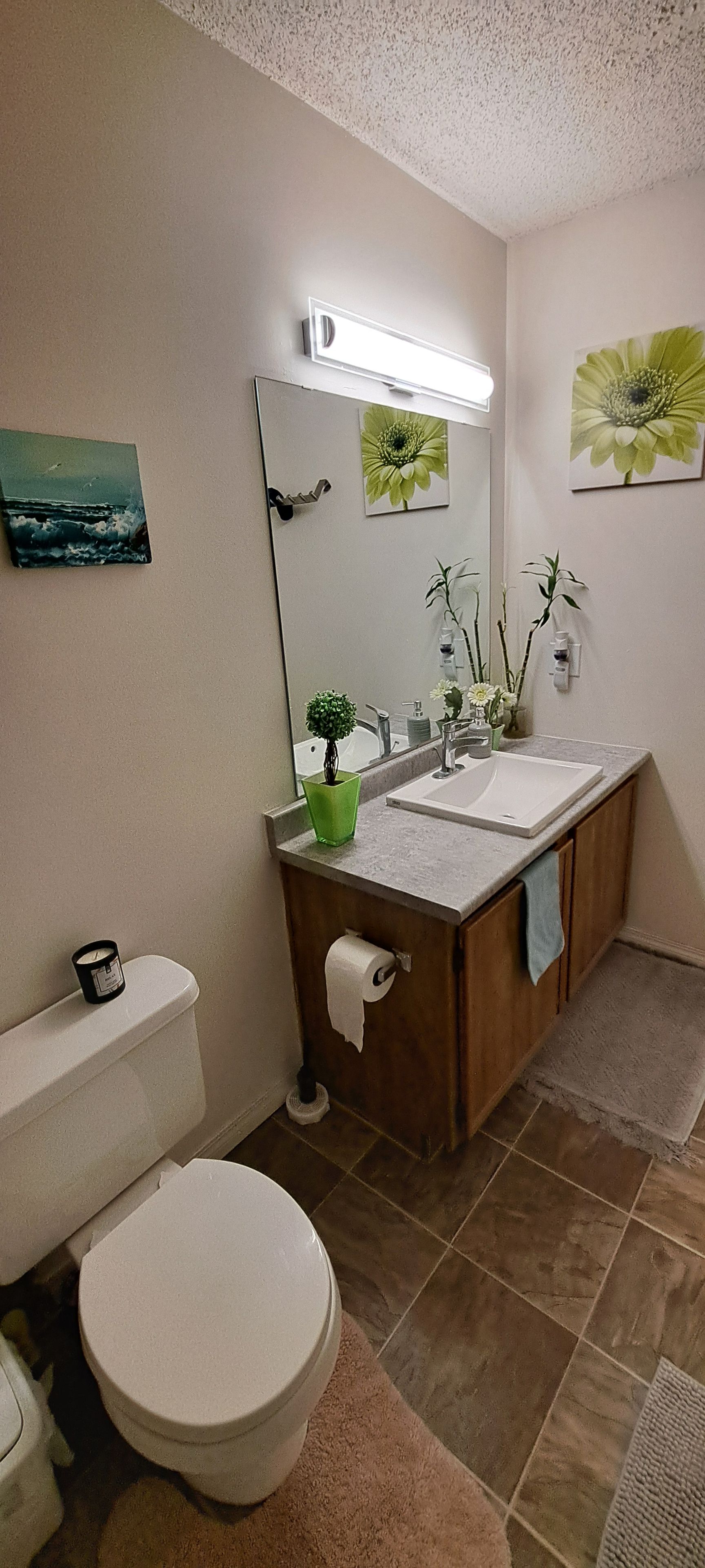 Une salle de bain avec des toilettes, un lavabo et un miroir.