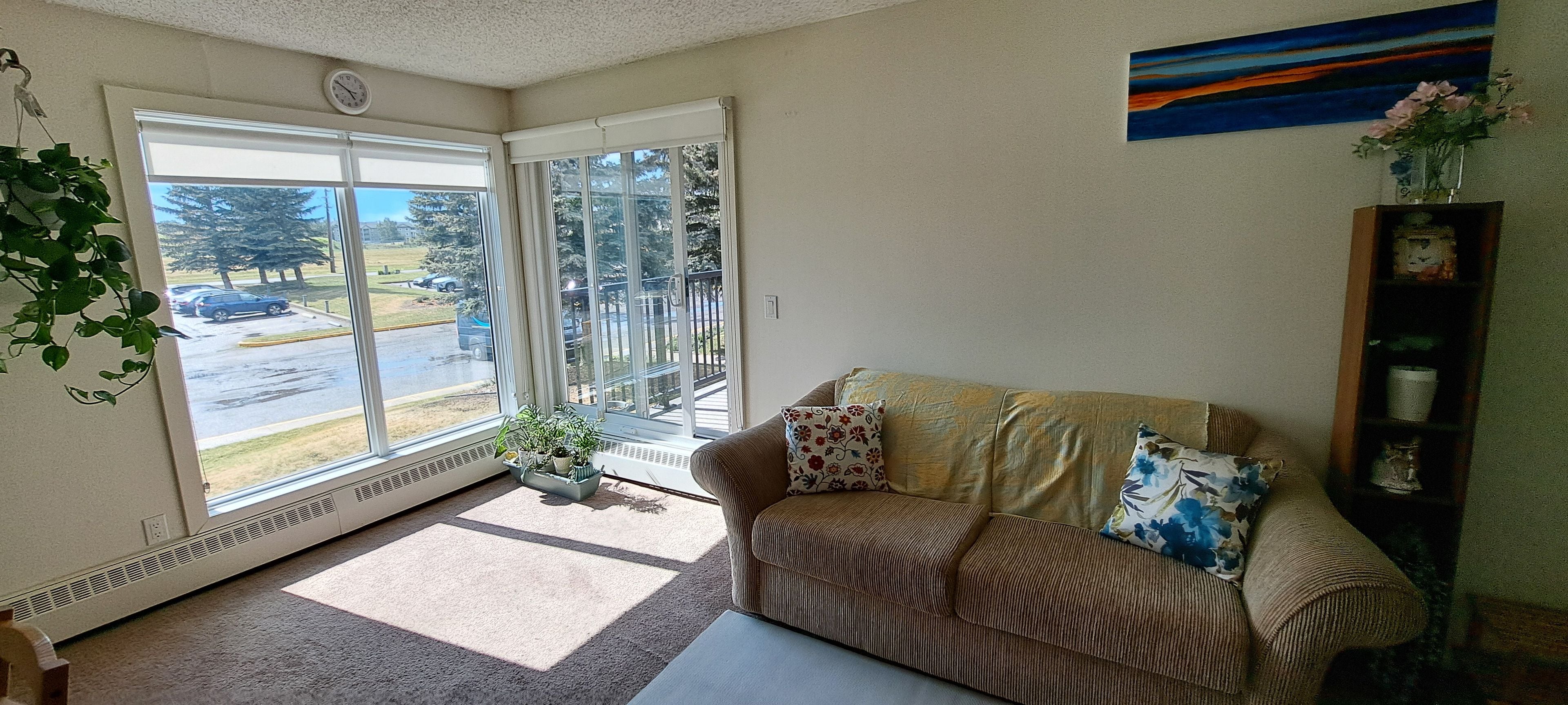 A living room with a sofa, a window, a radiator, and a painting on the wall.