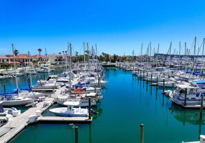 A marina with numerous boats docked, clear blue water, and buildings in the background. - Waterfront Luxury 2 BR Ground Floor St. Augustine FL (St. Augustine)