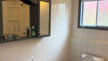 A bathroom with a sink, mirror, and toilet.