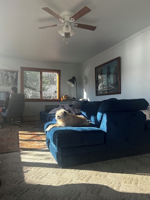 Et værelse med ventilator, stort vindue, blå sofa, en hund og et skrivebord med stol.