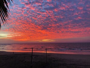 Une plage au coucher du soleil, avec des palmiers et un ciel dégagé.