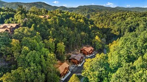 Eine Lodge mit mehreren Holzhäusern, umgeben von dichtem Wald, erreichbar über eine asphaltierte Straße.