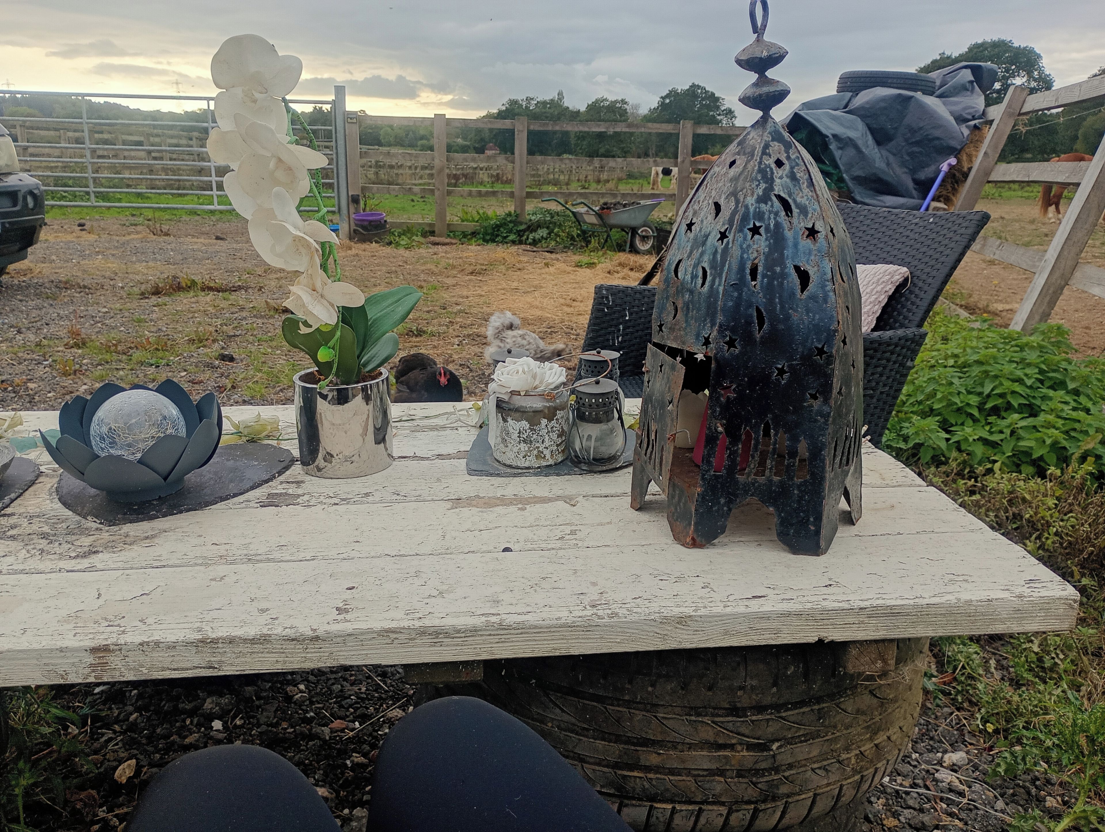 Un décor extérieur rustique avec une table en bois où sont exposés divers objets décoratifs, notamment une mangeoire à oiseaux en métal, un pot en métal et une plante en pot.