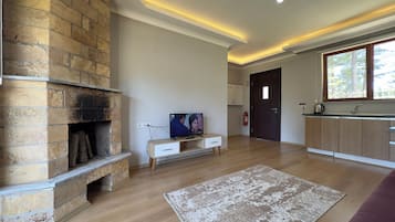 A modern living room with a stone fireplace, a flat-screen TV, wooden flooring, and a view of the outdoors through a window.