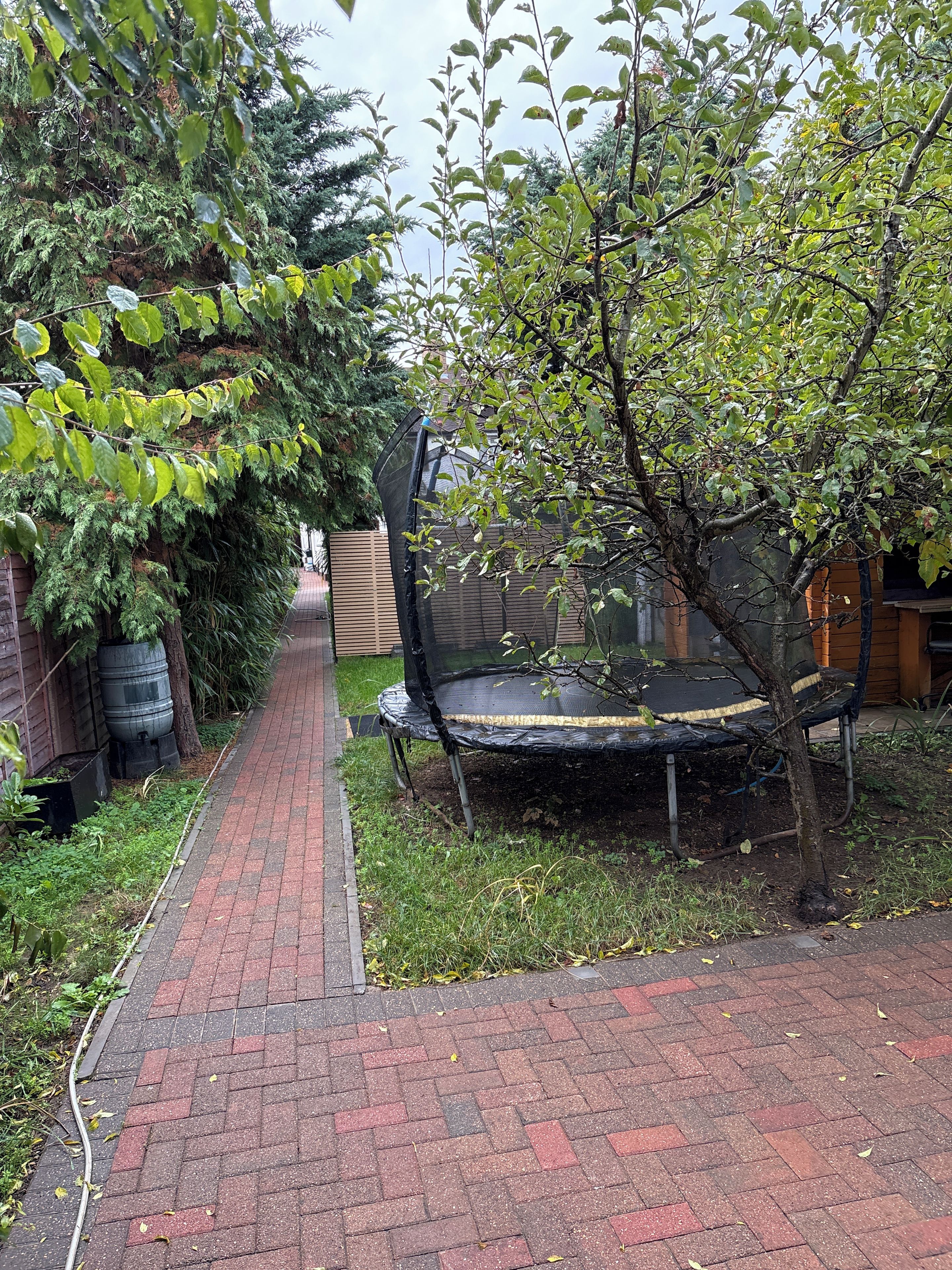 A brick pathway leading to a trampoline in a garden area with trees and a fence in the background.