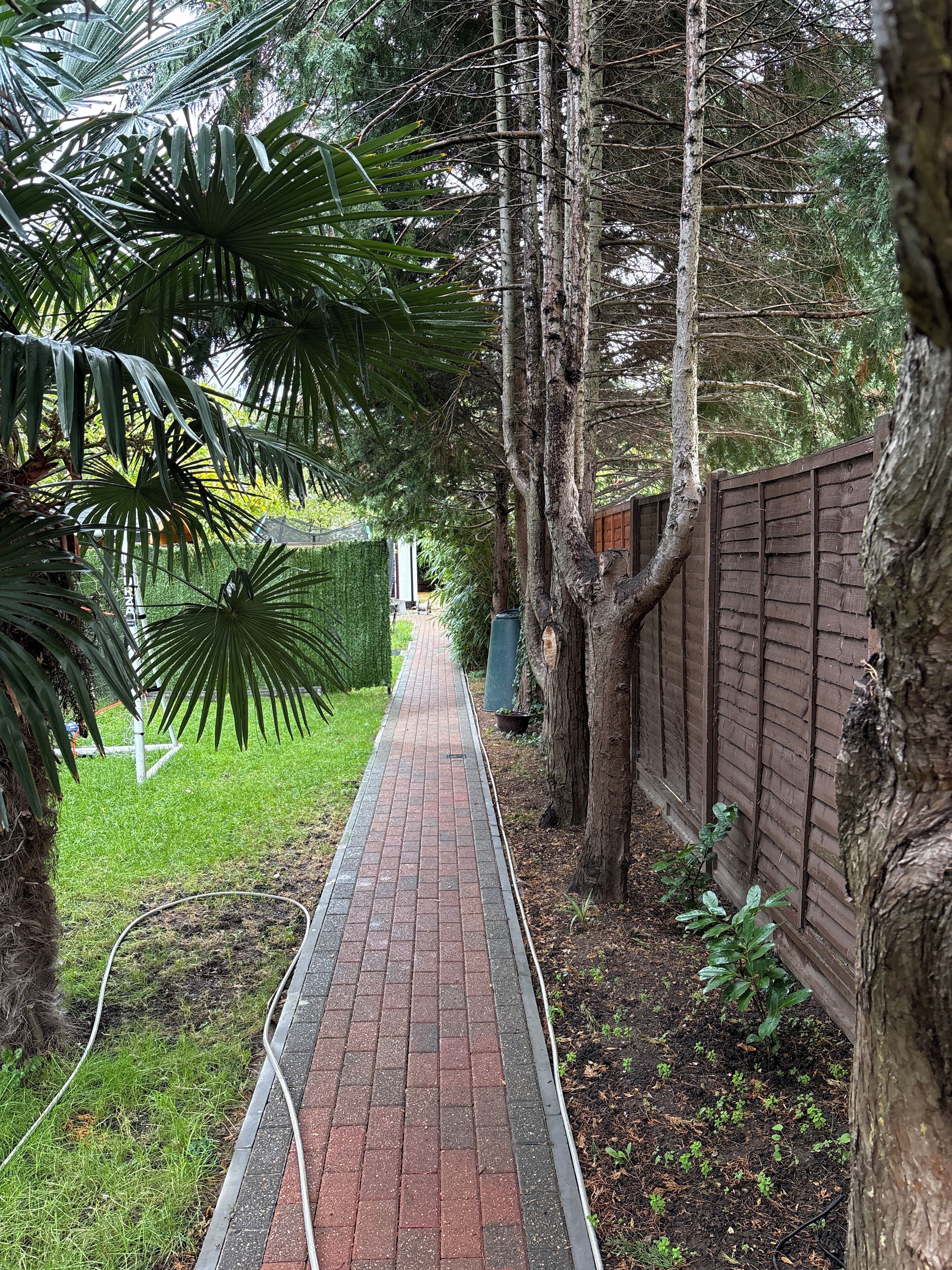 A pathway lined with trees and a wooden fence, leading to a building.