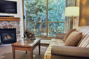Living area - Cozy 1-bedroom apartment with AC in amazing Whistler (Whistler)