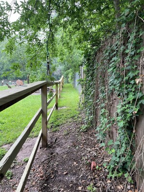 Un sentier en bois, bordé d’une rambarde en métal, entouré de verdure et d’une clôture recouverte de lierre.