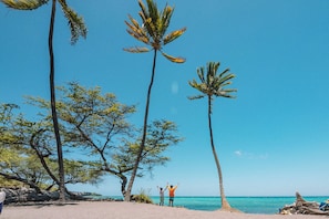 Ein Strand mit Palmen und einem strahlend blauen Himmel.