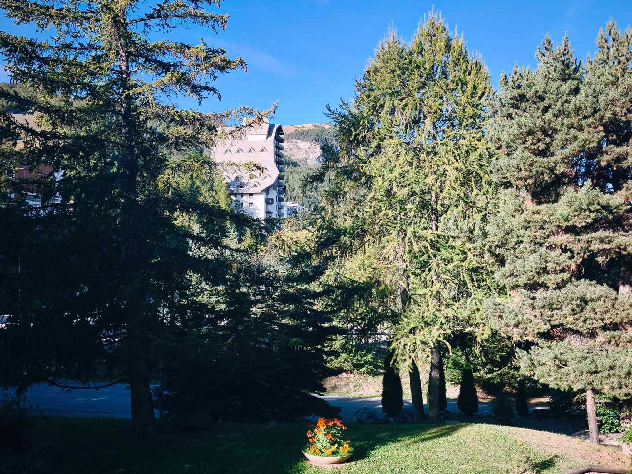 A building surrounded by dense trees and a small garden with flowers.
