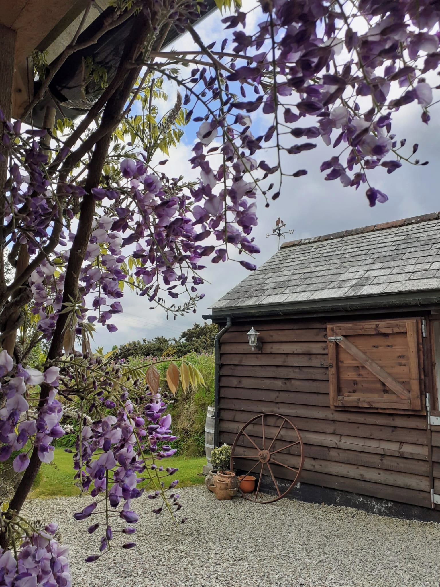A wooden building with a gravel driveway and a wheelbarrow.
