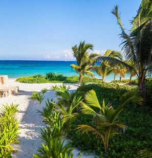 Ein Strand mit freiem Blick auf den Ozean, umgeben von üppiger Vegetation und Palmen.
