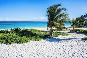 A beach with white sand, palm trees, and a clear blue sea. - Beach Access Retreat w/ Garden Near 5th Ave (Playa del Carmen)