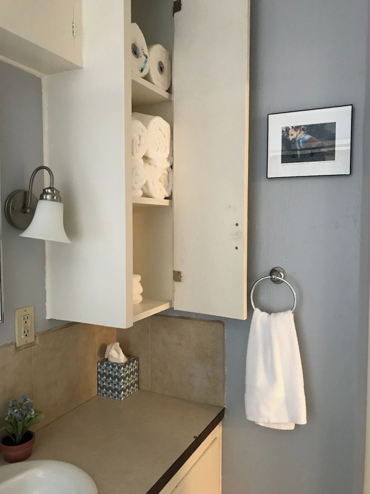Un baño con un perchero, una foto enmarcada y un mueble con papel higiénico y toallas.