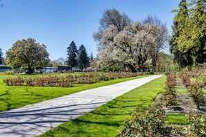A paved pathway through a park with trees and shrubs. - Dog-Friendly Studio w/ Patio & Parking, Walk to (Eugene)