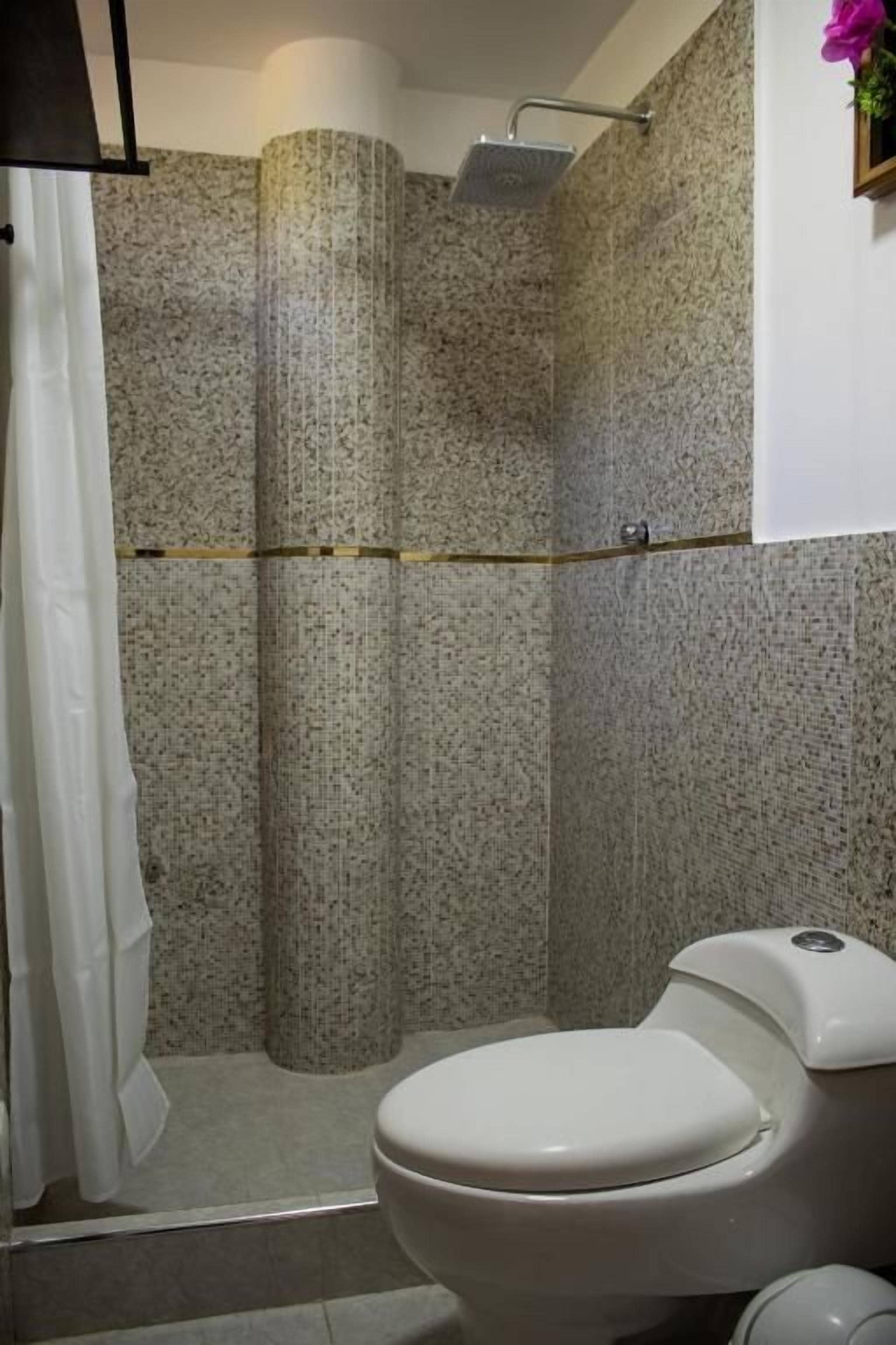 Un baño con ducha, inodoro y un perchero para toallas.