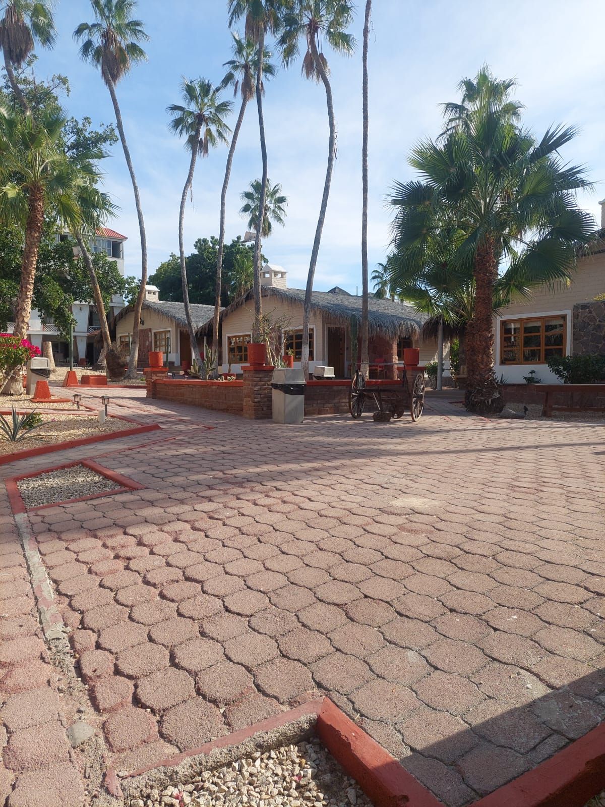 Un patio con pavimento hexagonal, palmeras y edificios con techos de paja.