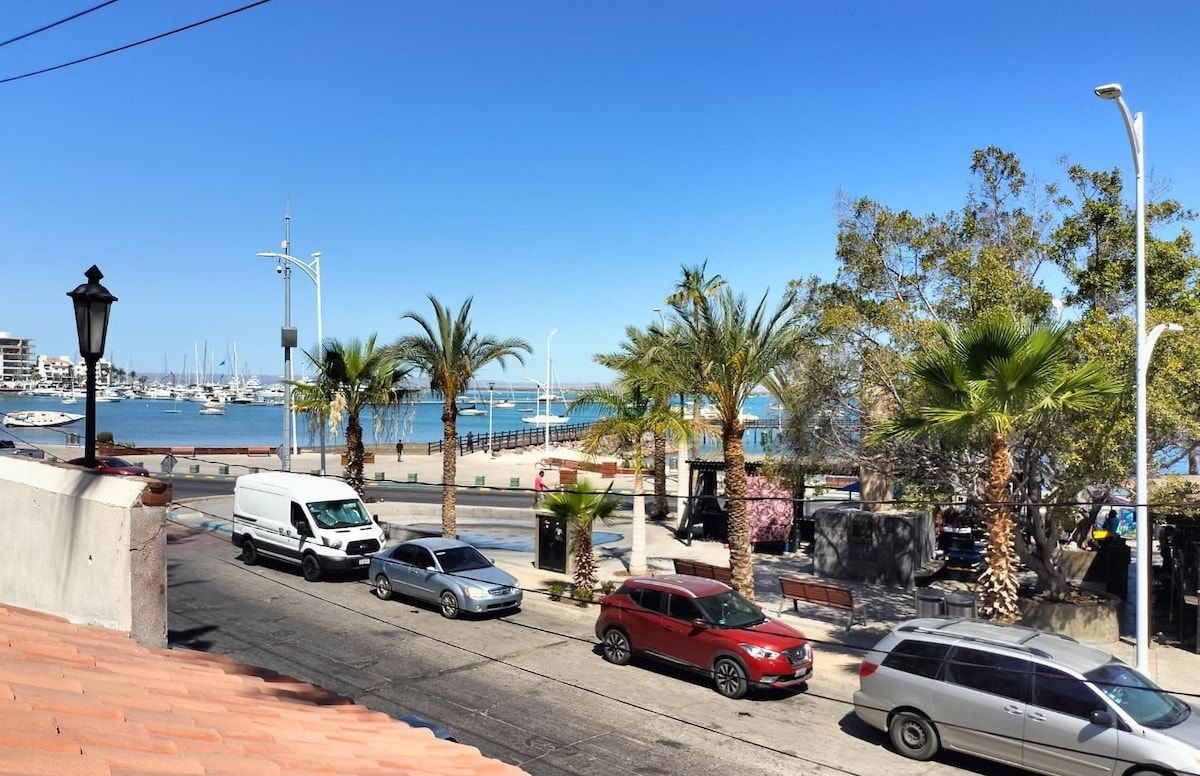 A coastal street with parked cars, a marina in the background, and palm trees lining the sidewalk.